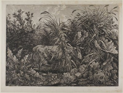 Vaca num riacho de Carl Wilhelm Kolbe the elder