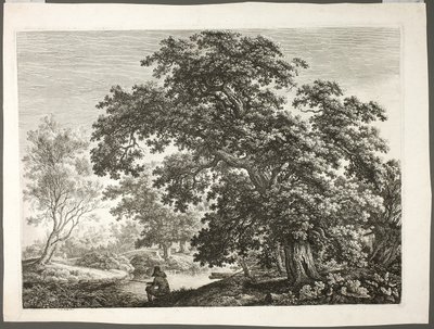 Pescador numa paisagem arborizada de Carl Wilhelm Kolbe the elder