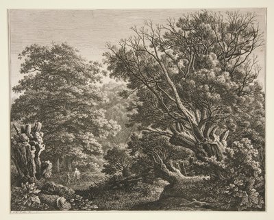Paisagem com árvore retorcida de Carl Wilhelm Kolbe the elder
