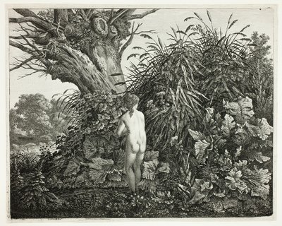 Ninfa em uma floresta pantanosa de Carl Wilhelm Kolbe, the elder