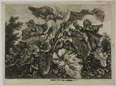Folha de Legumes de Carl Wilhelm Kolbe, the elder