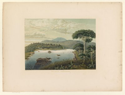 Vista do lago Patenggang Telaga Patengan (título no objeto) Atlas para trabalhar Java (título da série no objeto) Atlas de placas contendo onze vistas pitorescas, pertencentes à obra Java, sua forma, sua vegetação e construção interna (seri de Carl Wilhelm Mieling (possibly)
