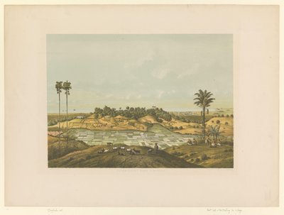 Vista de uma paisagem perto de Samarang
Costa Norte perto de Samarang (título sobre o objecto) de Carl Wilhelm Mieling (possibly)