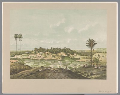 Costa Norte perto de Semarang de Carl Wilhelm Mieling (possibly)