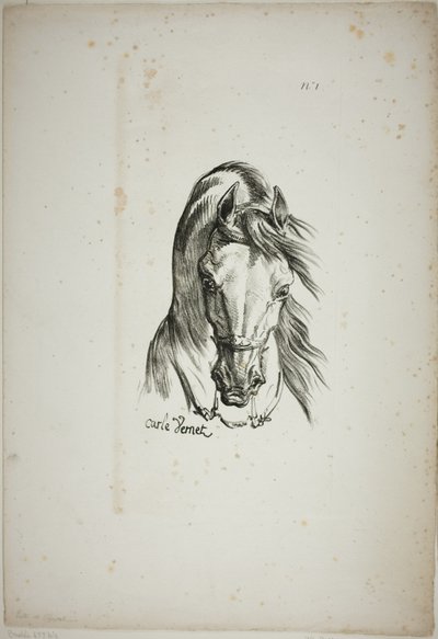 Pormenor da cabeça de um cavalo, ampliada para o triplo, Guarda Real Normanda, n.º 1 de Carle Vernet