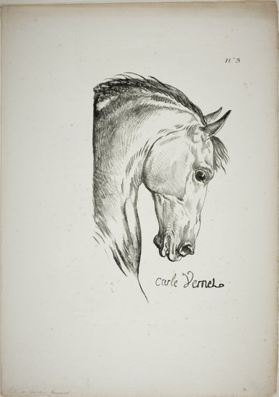 Pormenor da cabeça de um cavalo, ampliada para o triplo, Guarda Real Normanda, n.º 3 de Carle Vernet