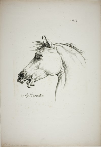Pormenor da cabeça de um cavalo, ampliada para o triplo, Guarda Real Normanda, n.º 4 de Carle Vernet