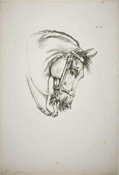 Pormenor da cabeça do cavalo, ampliada para o triplo, Guarda Real Normanda, n.º 5, Primeiro Cavalo de Limoges de Carle Vernet