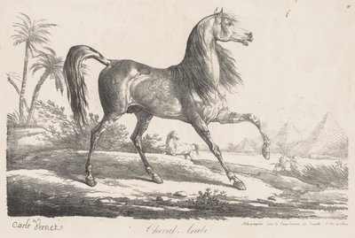 Suíte de Cavalos: Cavalo Árabe de Carle Vernet