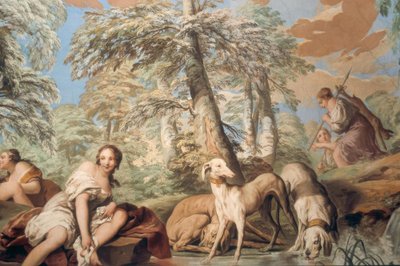 O resto de Diana de Carle van Loo