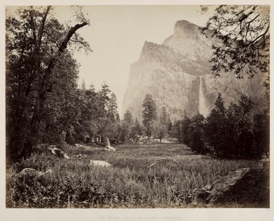 Véu de Noiva, Yosemite, c. 1865-1866. de Carleton E. Watkins