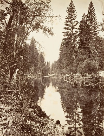 Rio Merced, Yosemite, c. 1872, impresso ca. 1876. de Carleton E. Watkins.