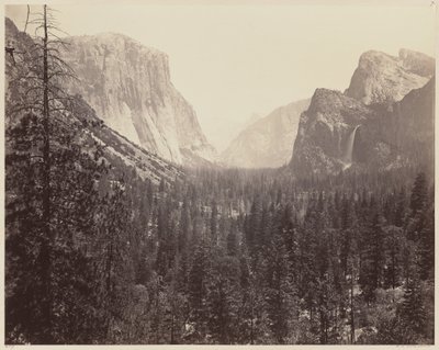 O Vale de Yosemite da Trilha Mariposa de Carleton E. Watkins