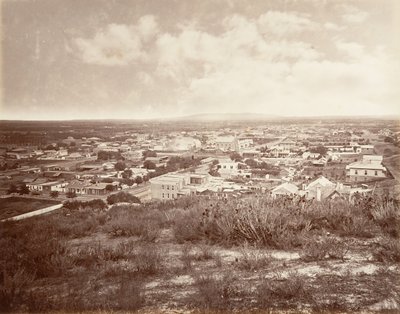 Floresta. de Carleton Emmons Watkins