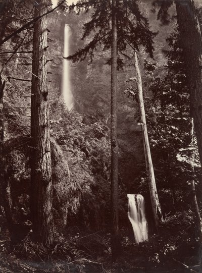 Multnomah Falls, Oregon, 1867, impresso mais tarde. de Carleton Emmons Watkins