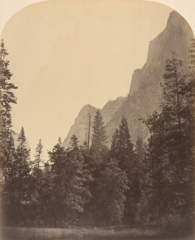 Floresta. de Carleton Emmons Watkins
