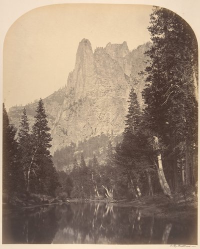 Floresta. de Carleton Emmons Watkins