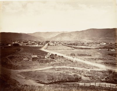 Floresta. de Carleton Emmons Watkins