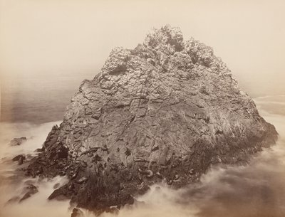 Floresta. de Carleton Emmons Watkins