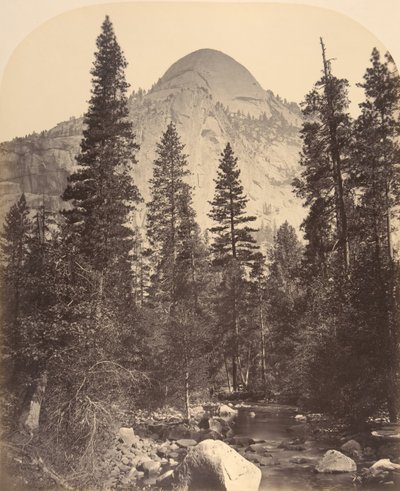 Floresta. de Carleton Emmons Watkins