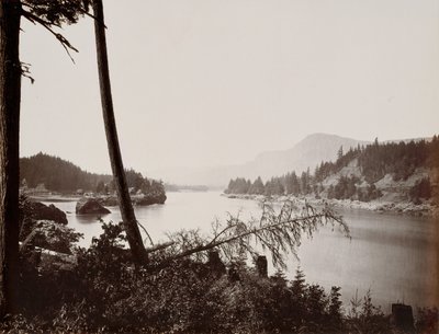 Vista na Columbia, Cascades, 1867. de Carleton Emmons Watkins