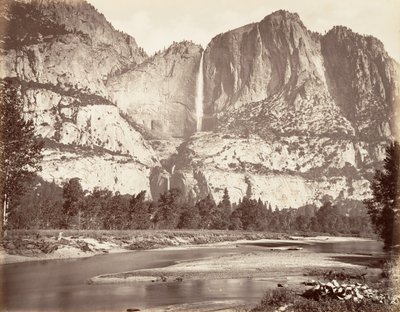 Floresta. de Carleton Emmons Watkins