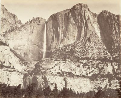 Floresta. de Carleton Emmons Watkins