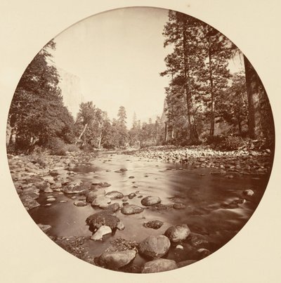 Floresta. de Carleton Emmons Watkins