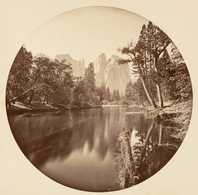 Floresta. de Carleton Emmons Watkins