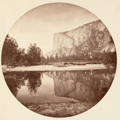 Floresta. de Carleton Emmons Watkins