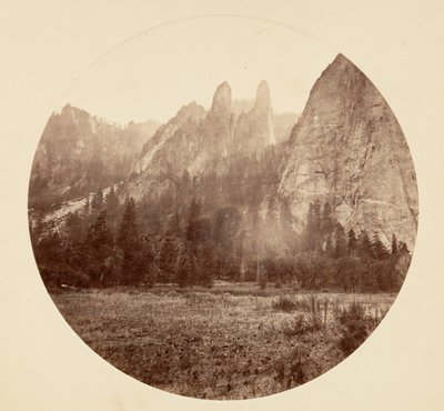 Floresta. de Carleton Emmons Watkins