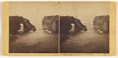  de Carleton Watkins