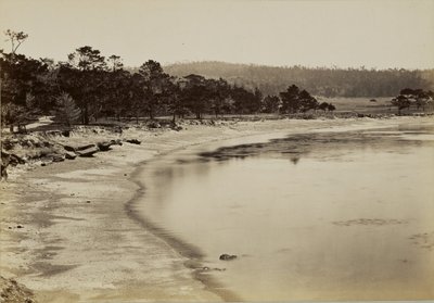 [Vista da costa perto de Monterey] de Carleton Watkins