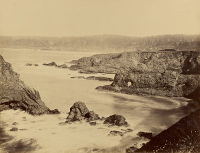 [Vista da costa de Mendocino]. de Carleton Watkins