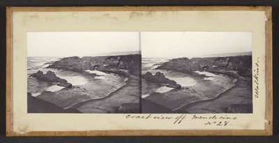 Coast View de Mendocino de Carleton Watkins