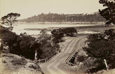 [Vista da costa perto de Monterey]. de Carleton Watkins