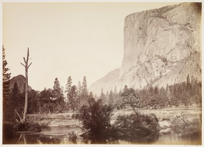  de Carleton Watkins