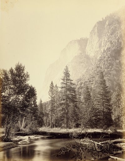  de Carleton Watkins