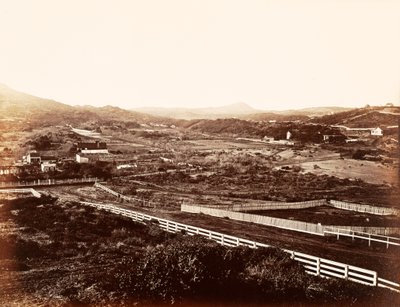 [Montanha Solitária, do Asilo de Órfãos] de Carleton Watkins