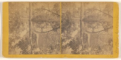 [Vista do espelho, Vale de Yosemite, Condado de Mariposa, Cal.] de Carleton Watkins