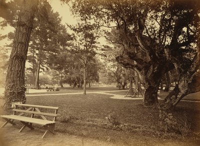 [Monterey, Califórnia. Hotel Del Monte, Lawn View]. de Carleton Watkins