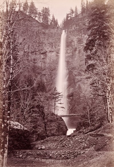  de Carleton Watkins