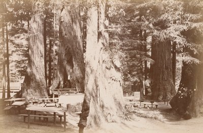  de Carleton Watkins