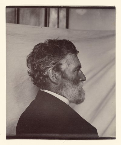  de Carleton Watkins