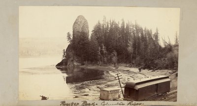  de Carleton Watkins