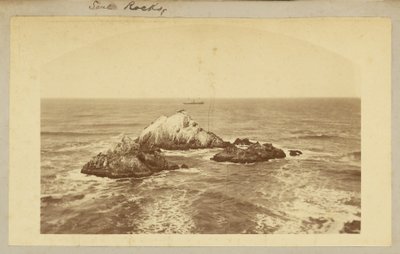 Rochas de Selo. de Carleton Watkins