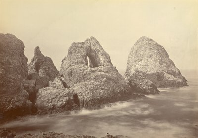 [Ilhas Sugarloaf na Baía dos Pescadores, Ilhas Farallon] de Carleton Watkins