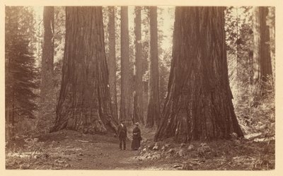  de Carleton Watkins