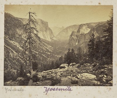  de Carleton Watkins