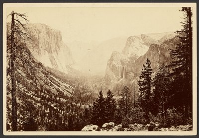  de Carleton Watkins